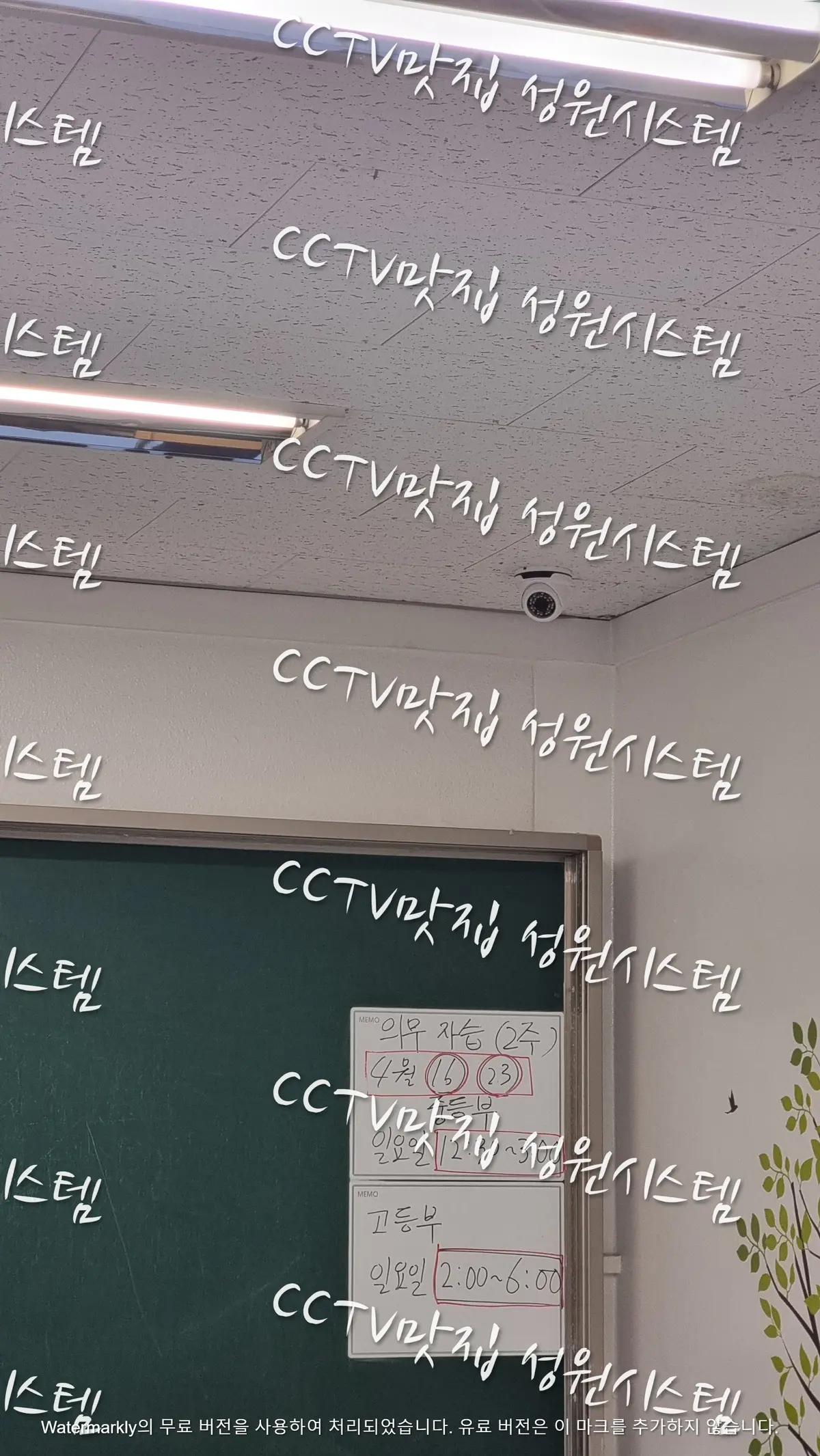 이미지 7