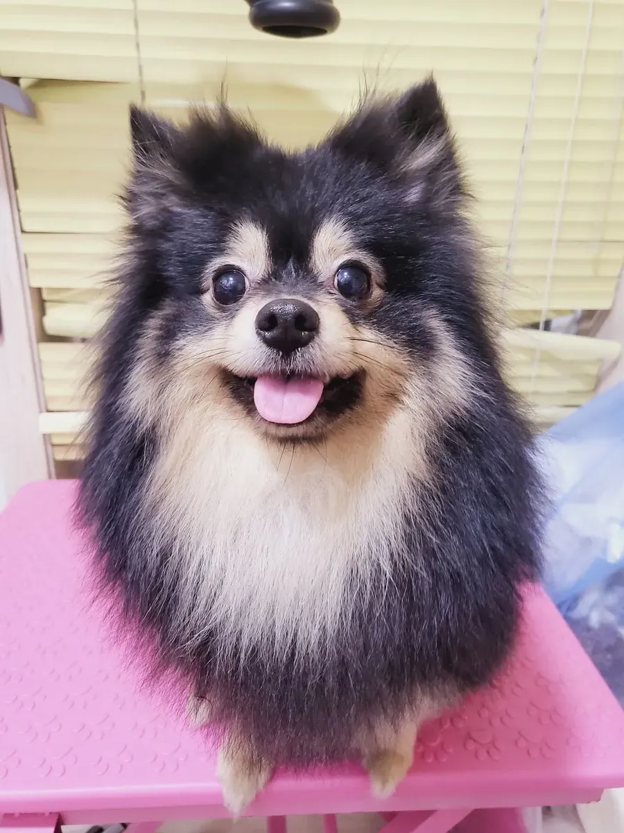 이미지 7