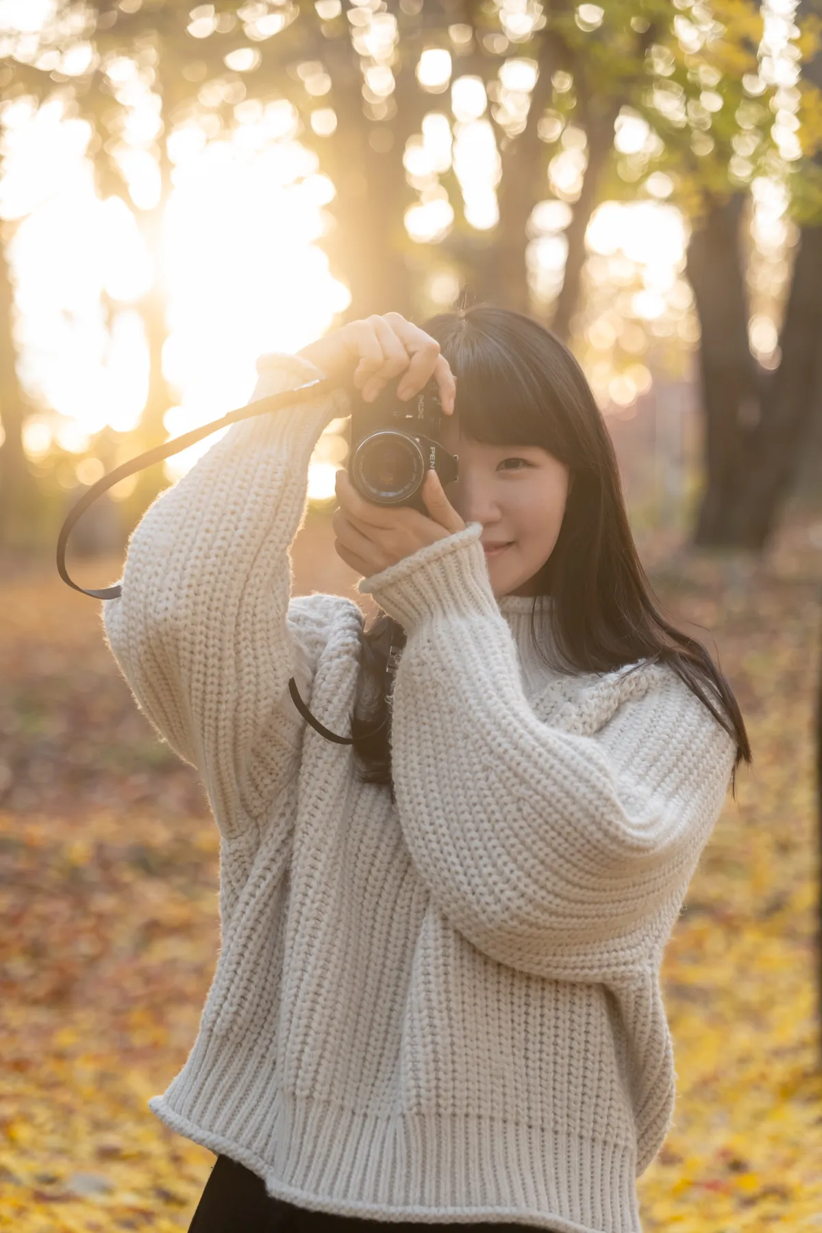 이미지 4