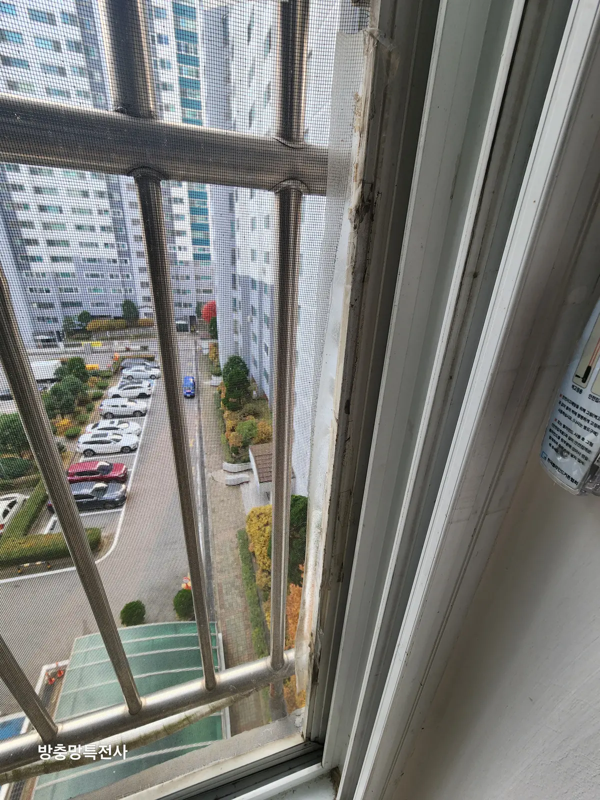 이미지 2