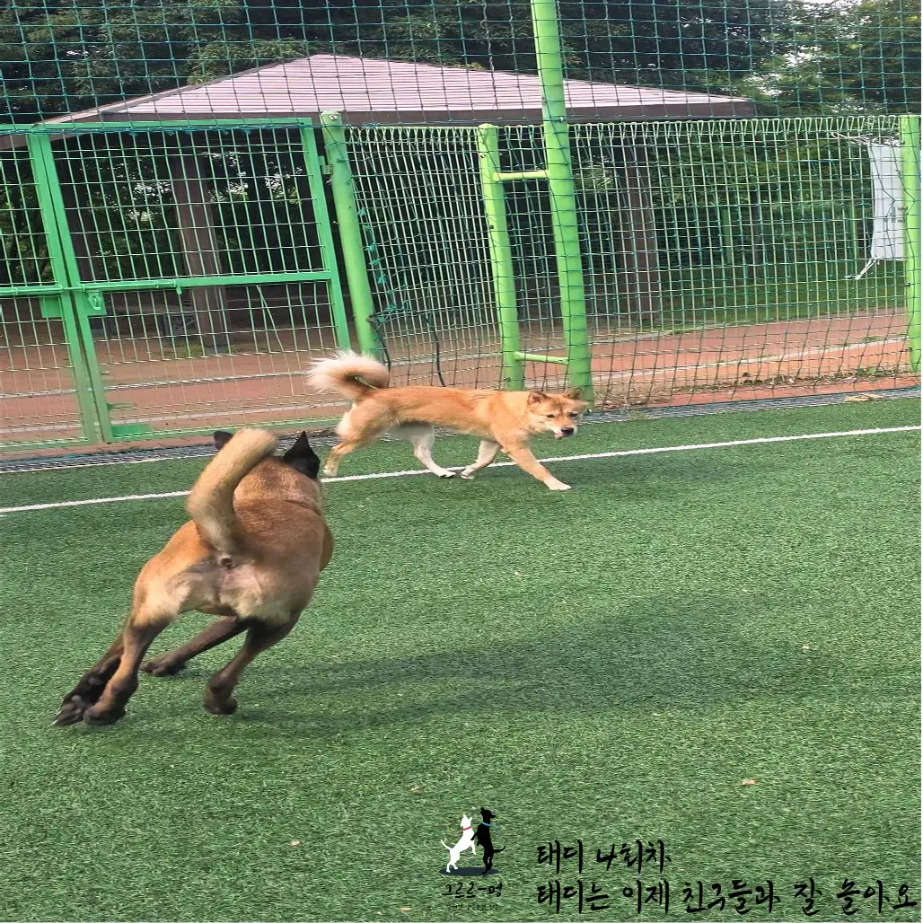 이미지 4