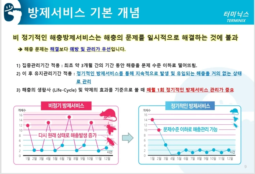 이미지 6