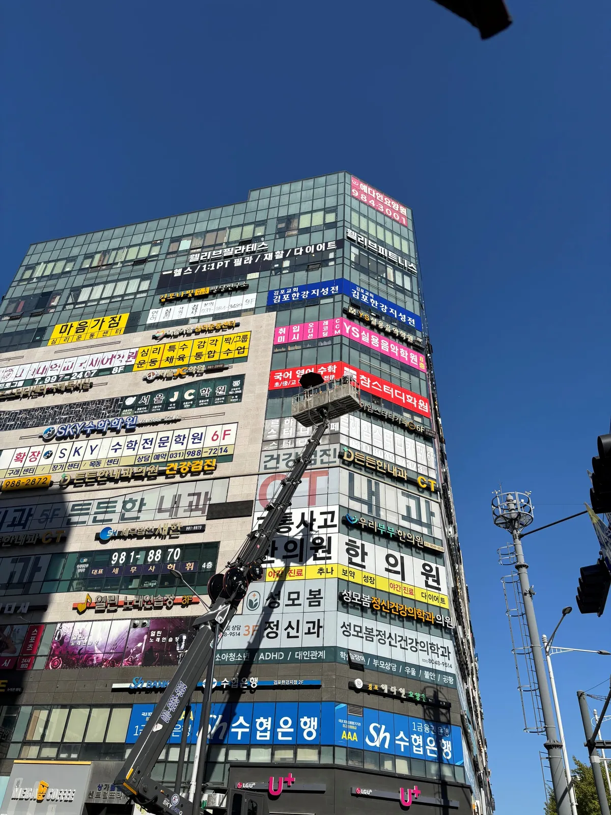 이미지 8