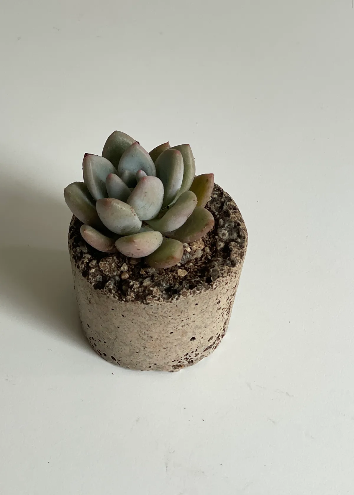 이미지 2