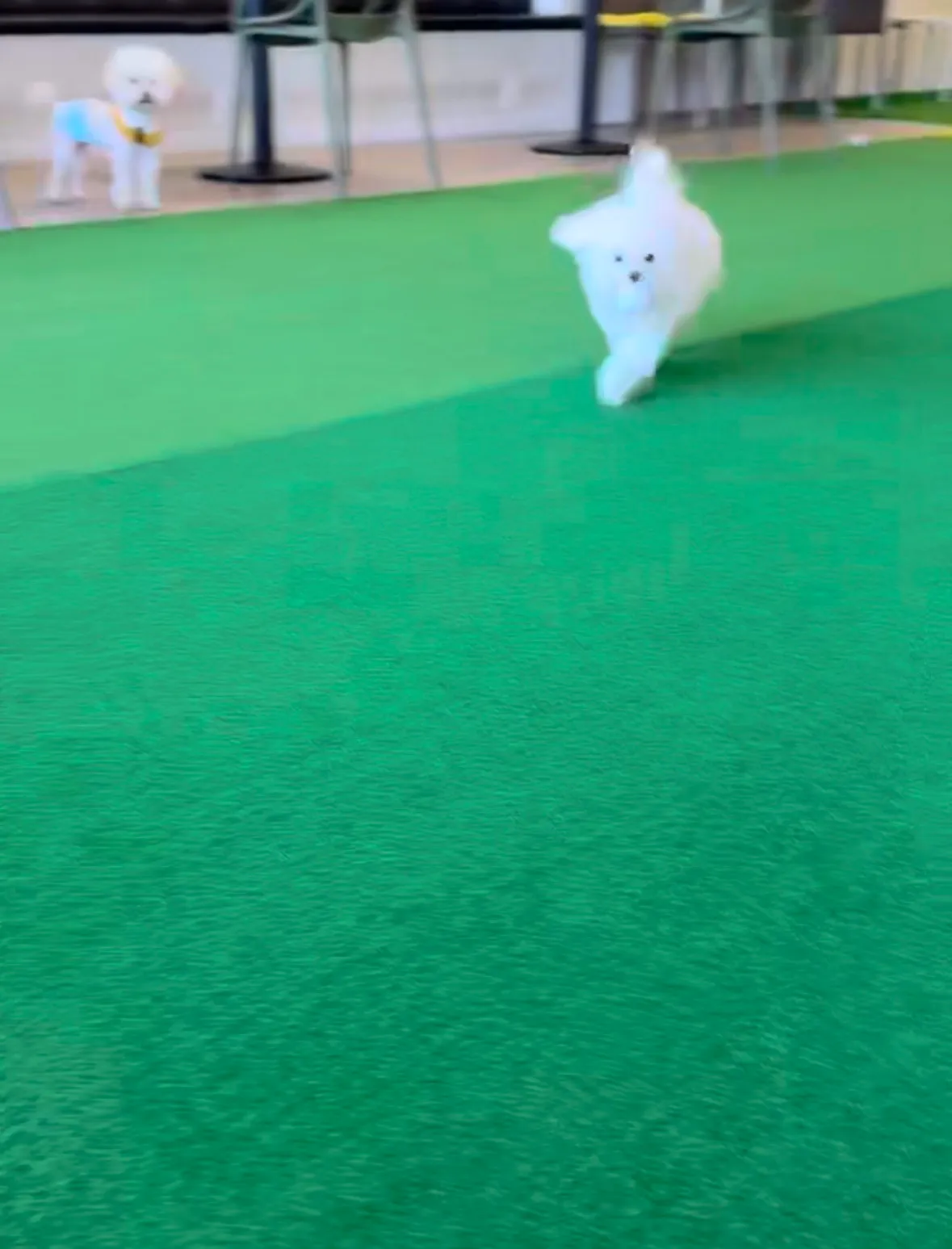 이미지 4