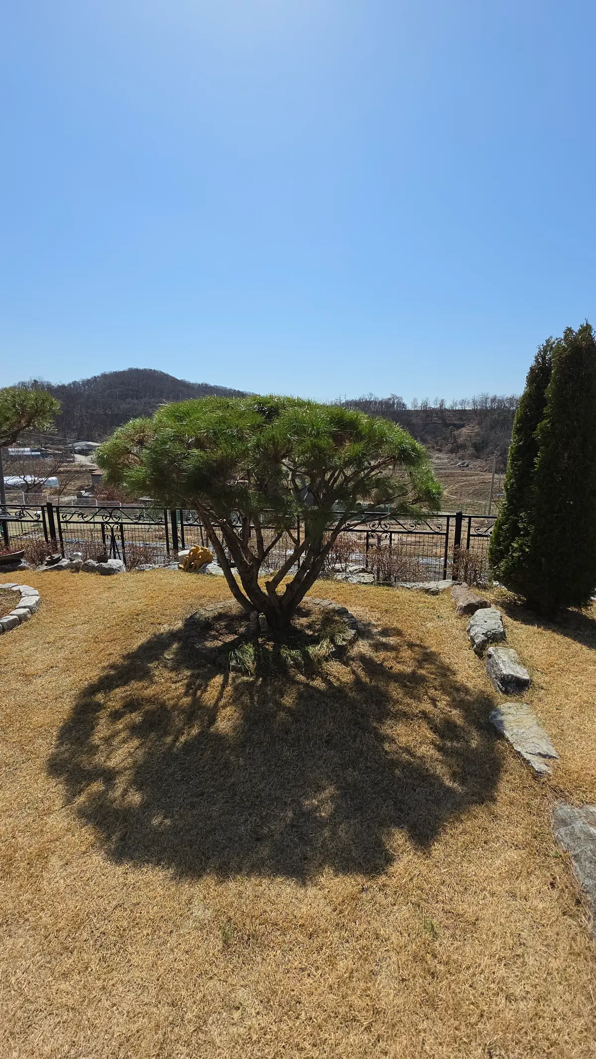 이미지 6