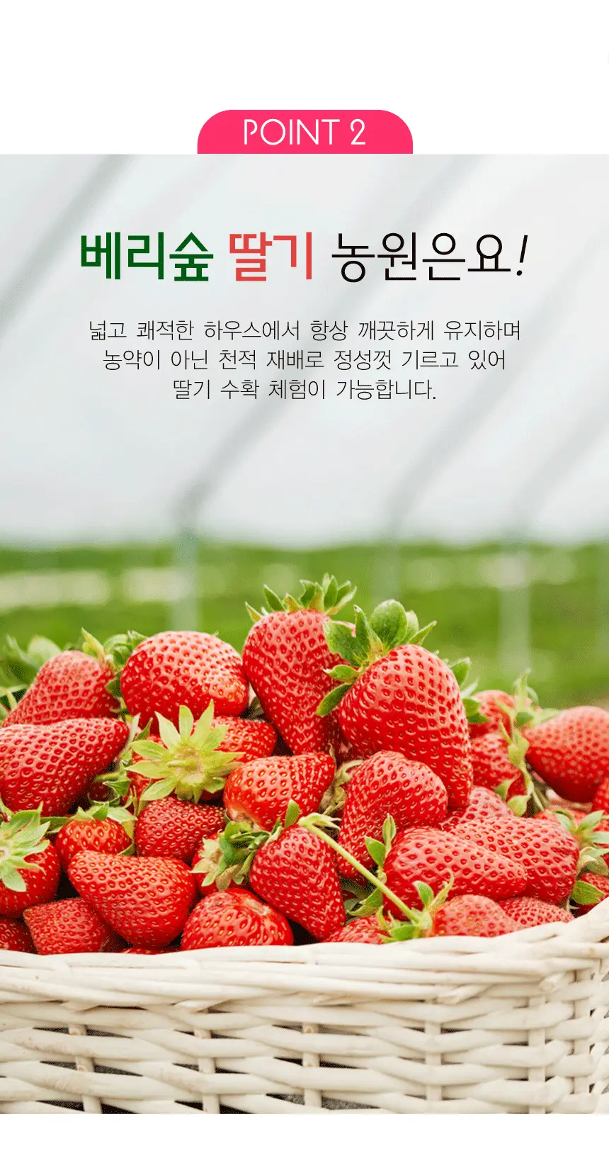 이미지 6