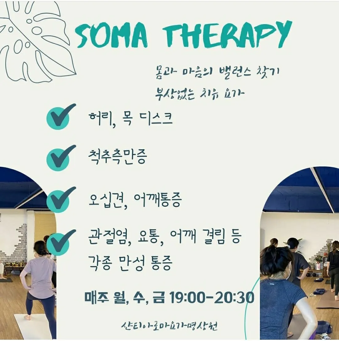 이미지 5