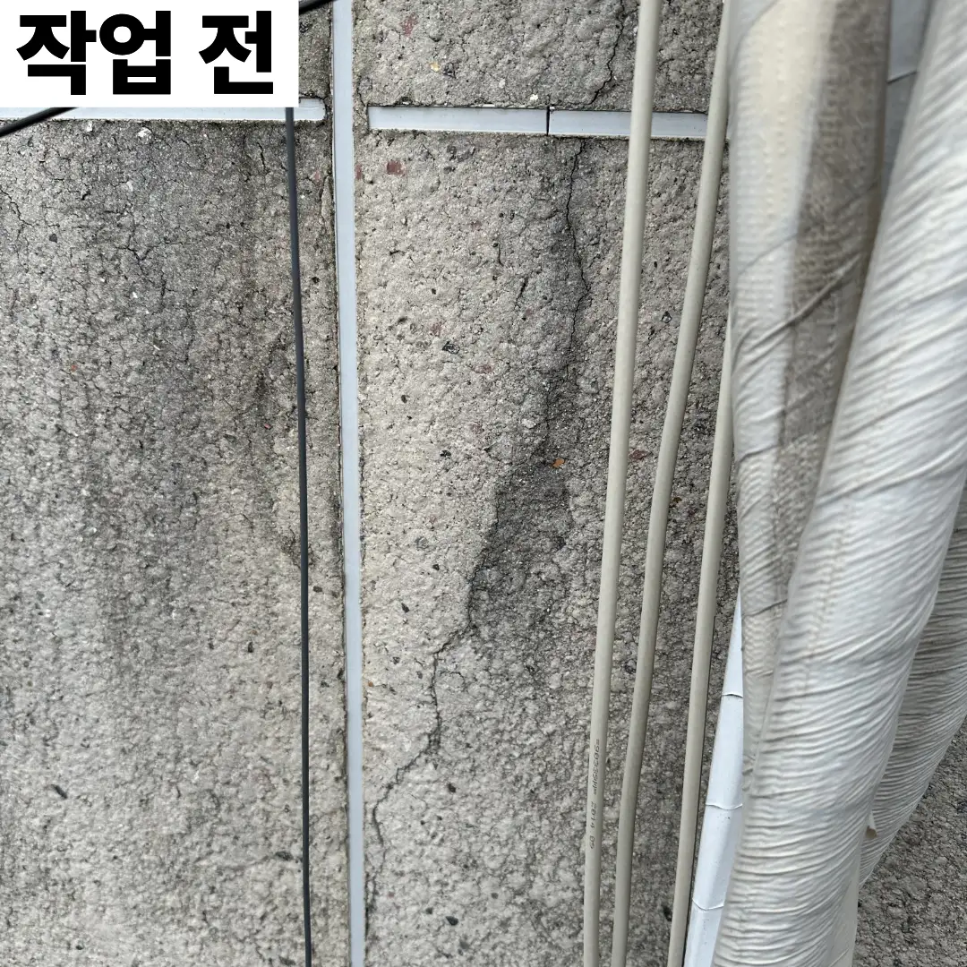 이미지 10