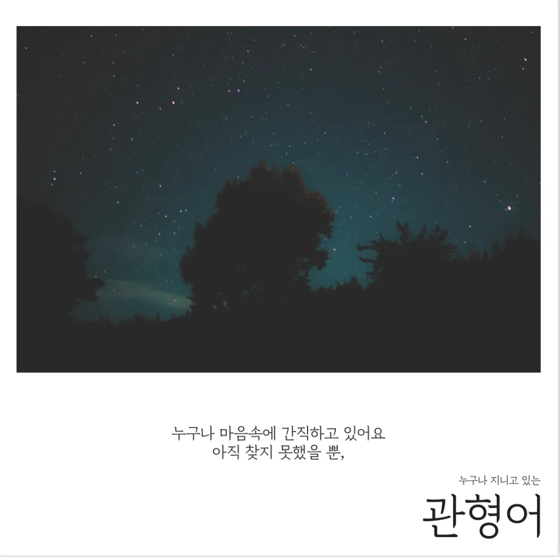 포트폴리오 이미지