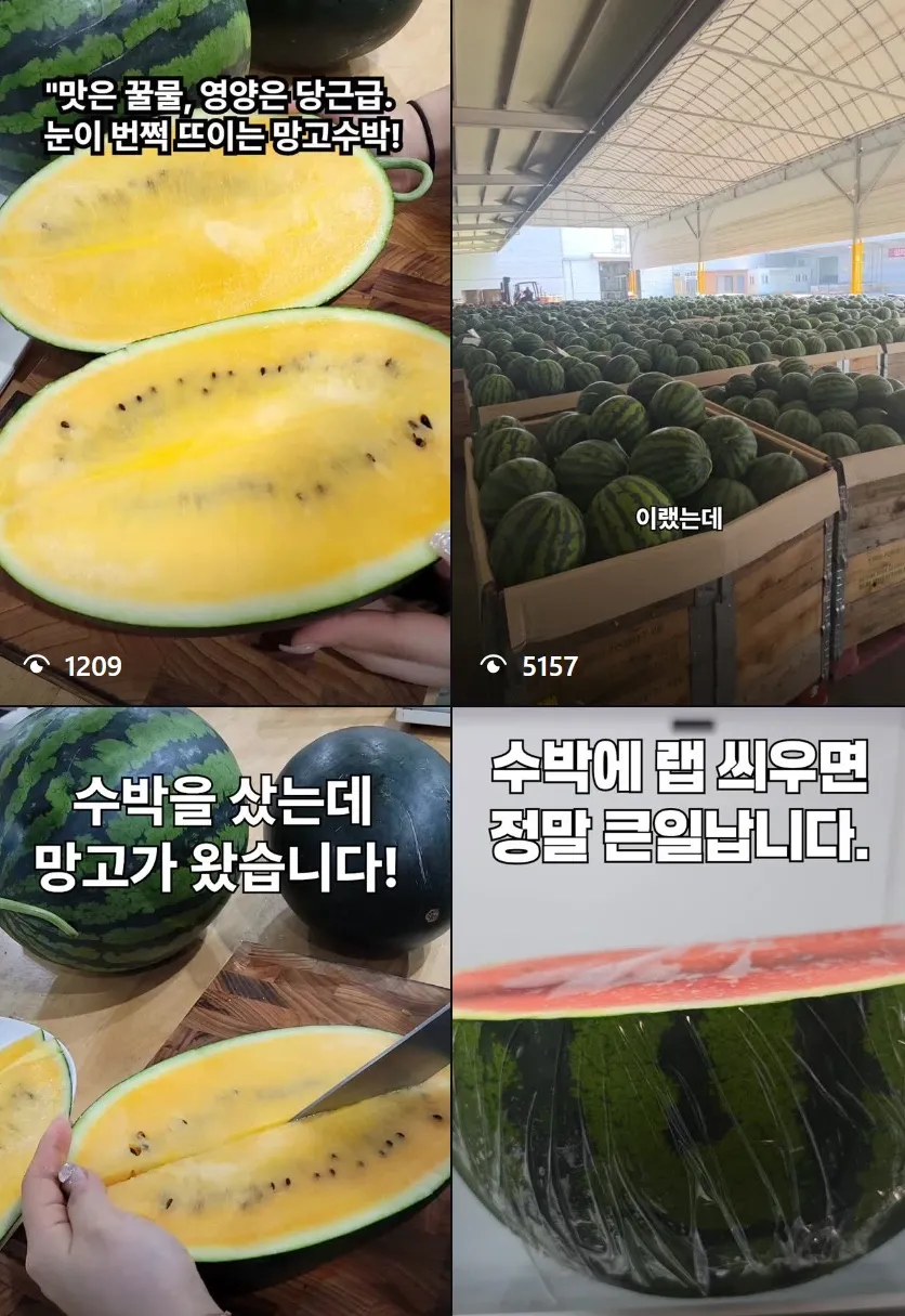 이미지 8