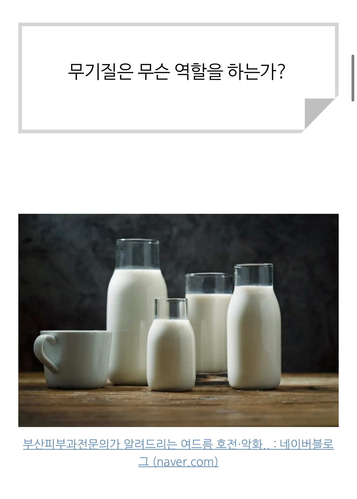 포트폴리오 이미지