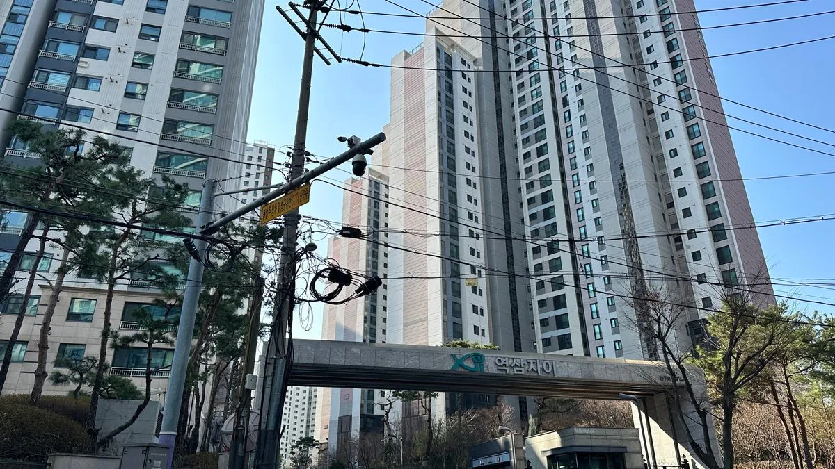 이미지 6