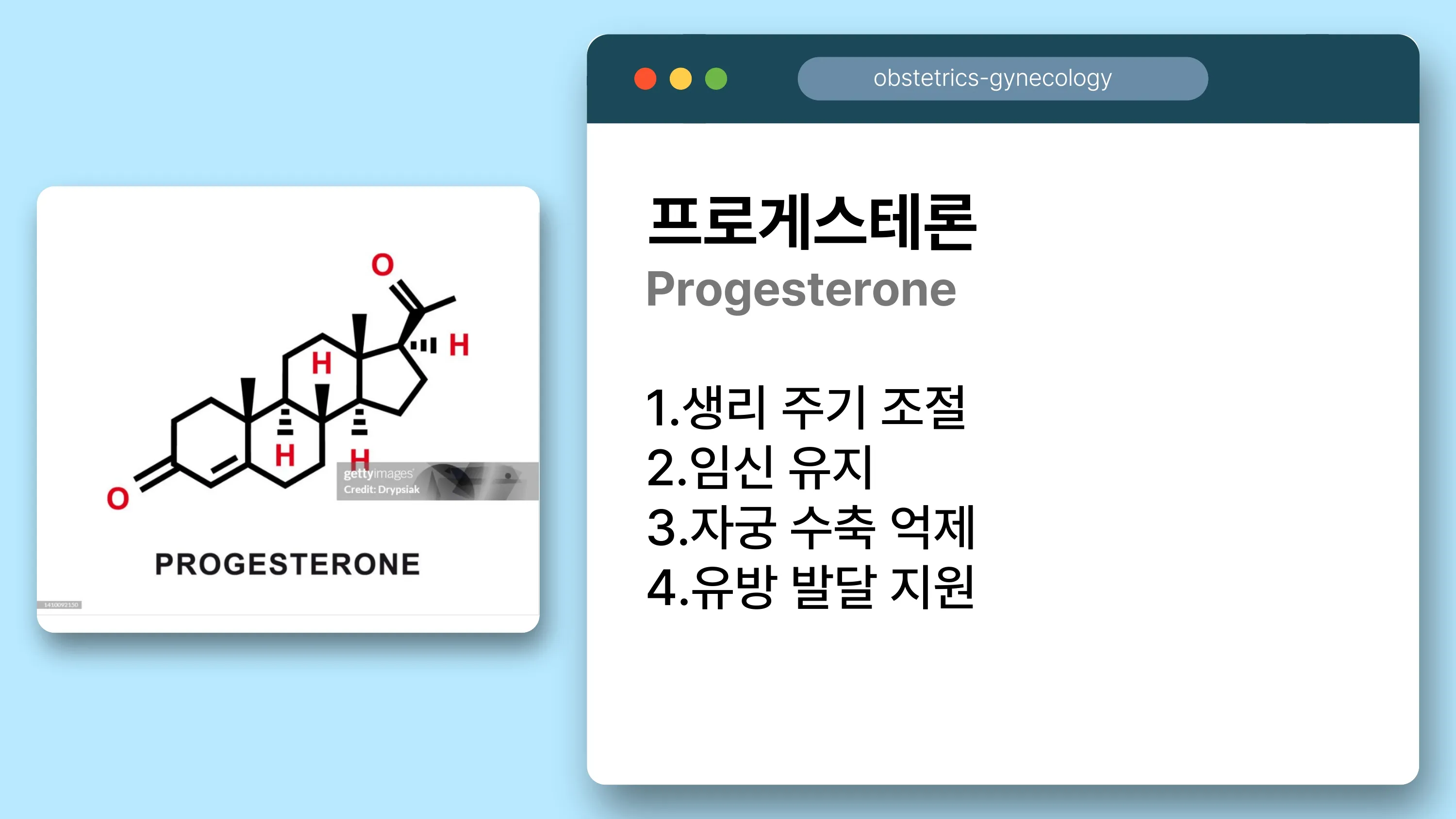 이미지 10