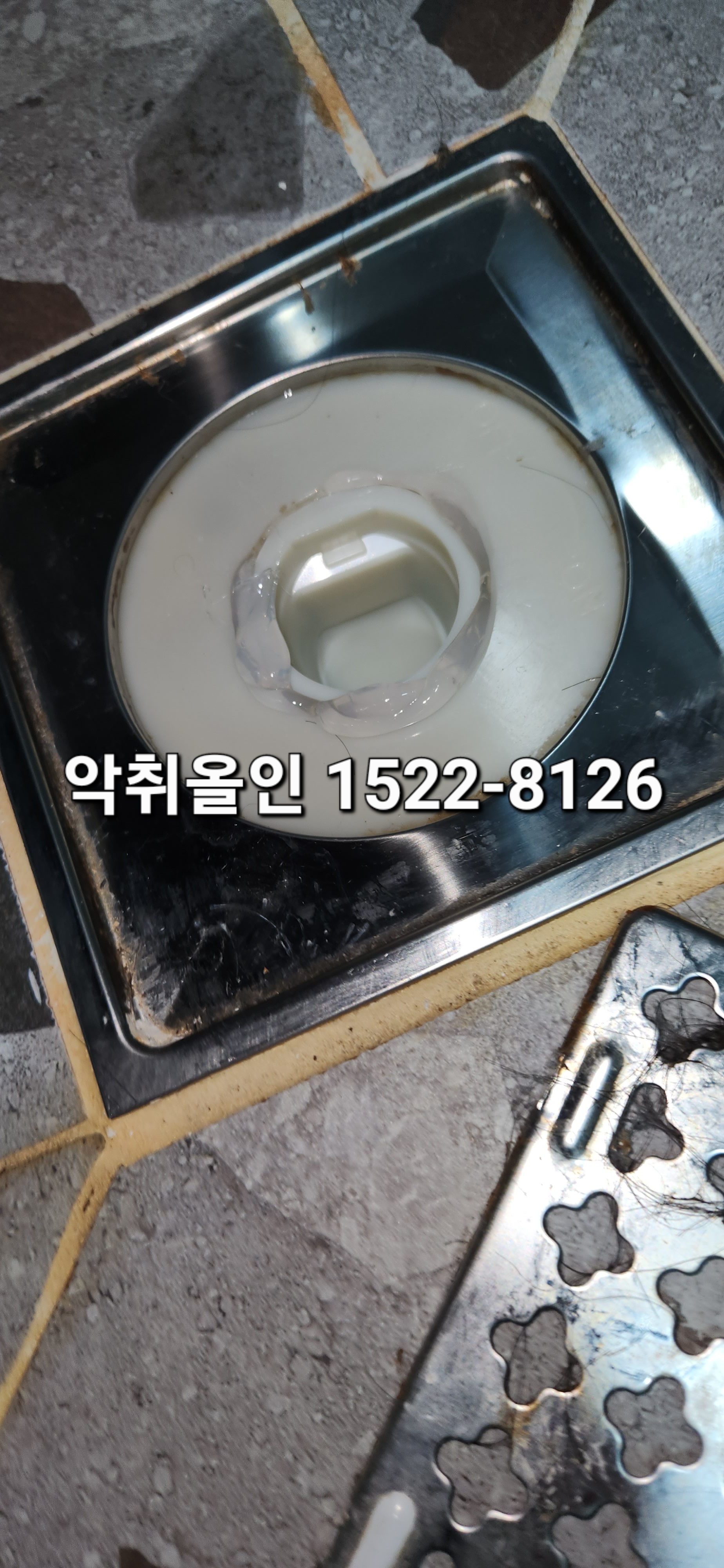이미지 6