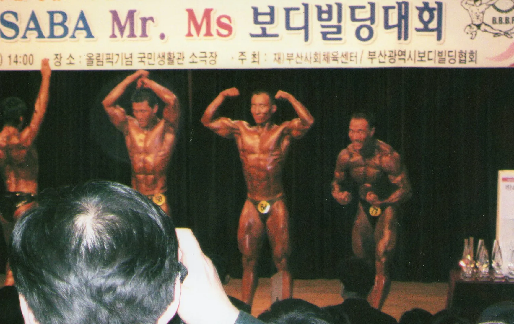 이미지 5