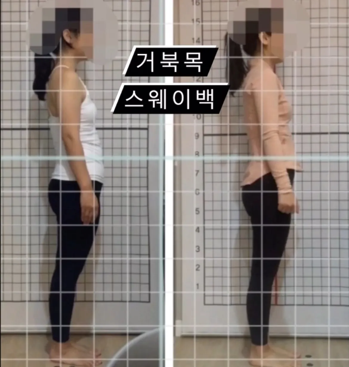 이미지 6