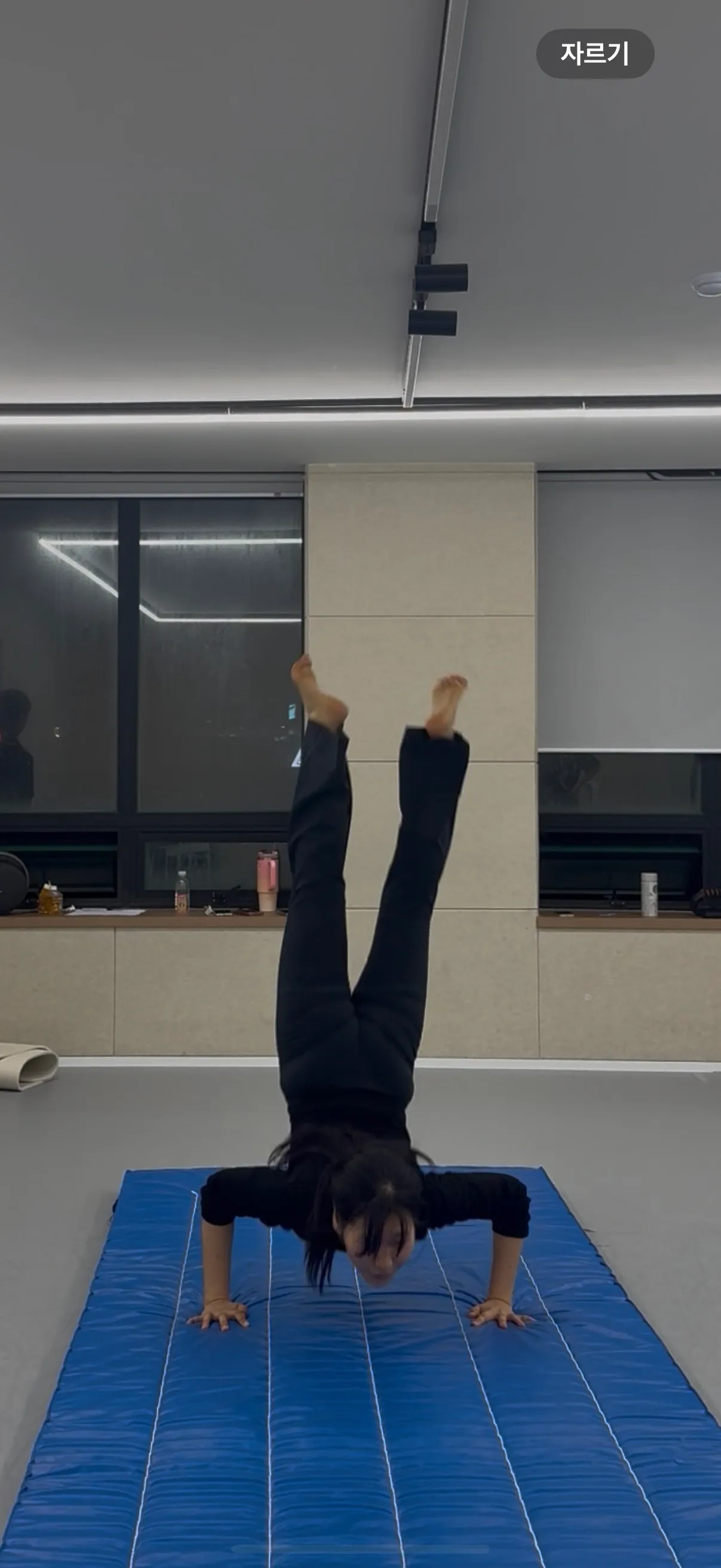 이미지 5