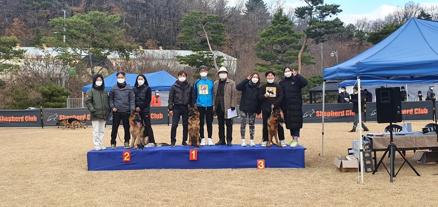 이미지 6