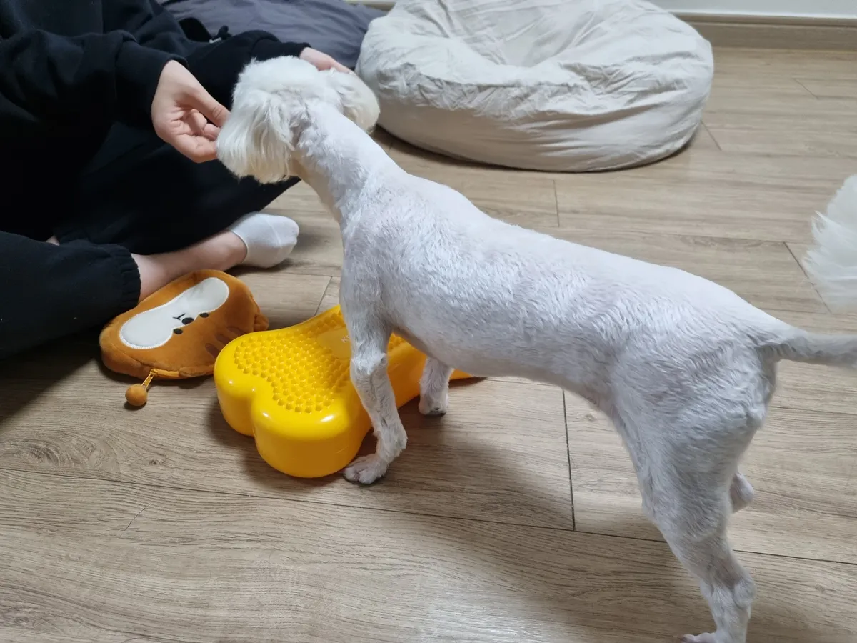 이미지 5