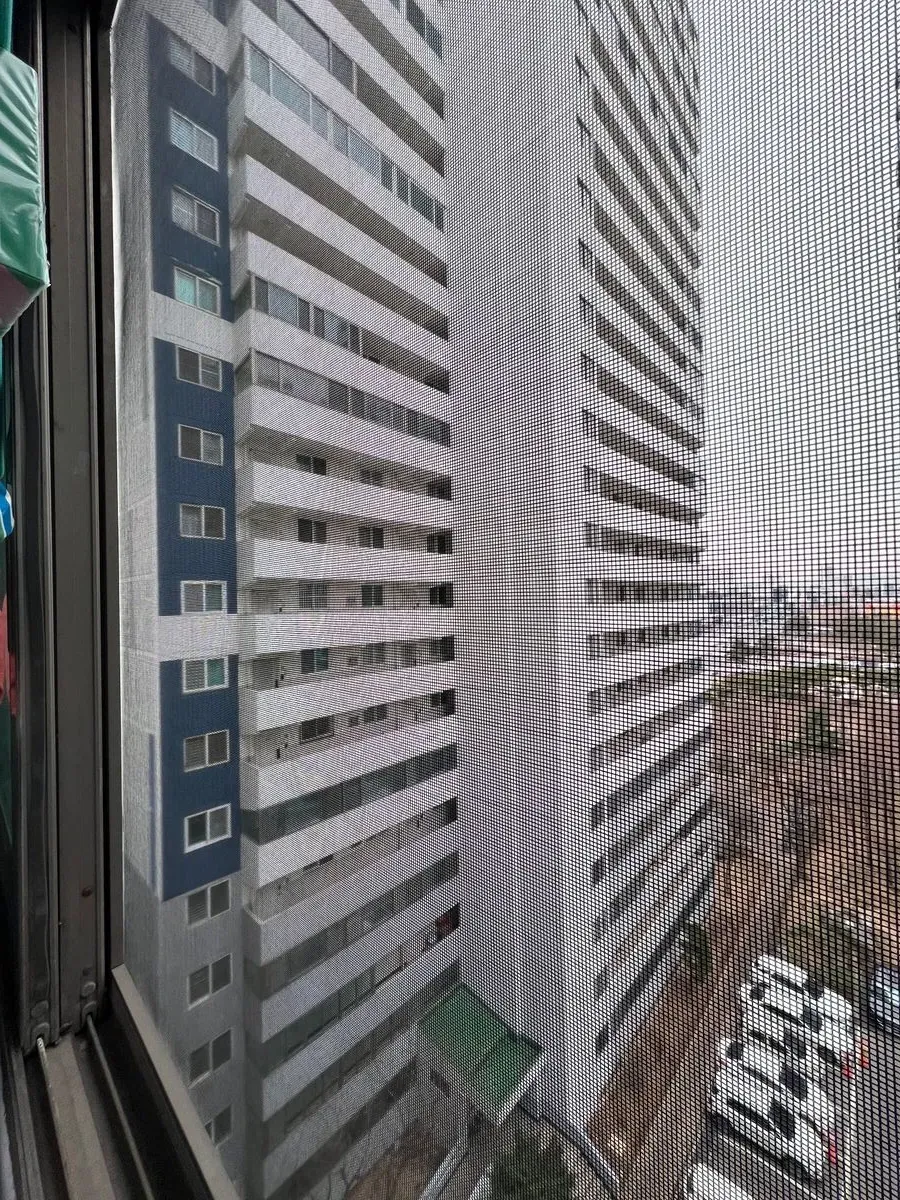 이미지 13