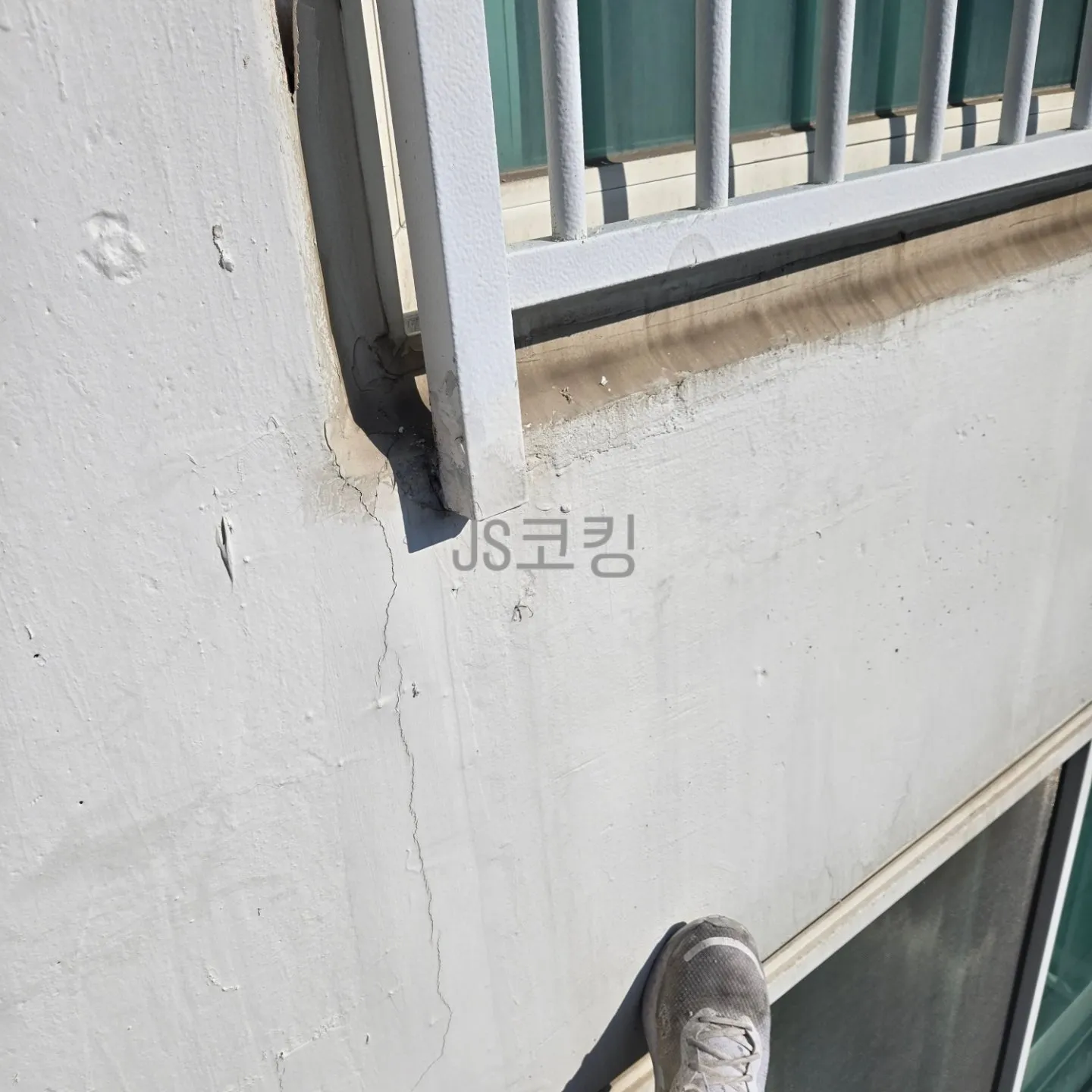 이미지 12