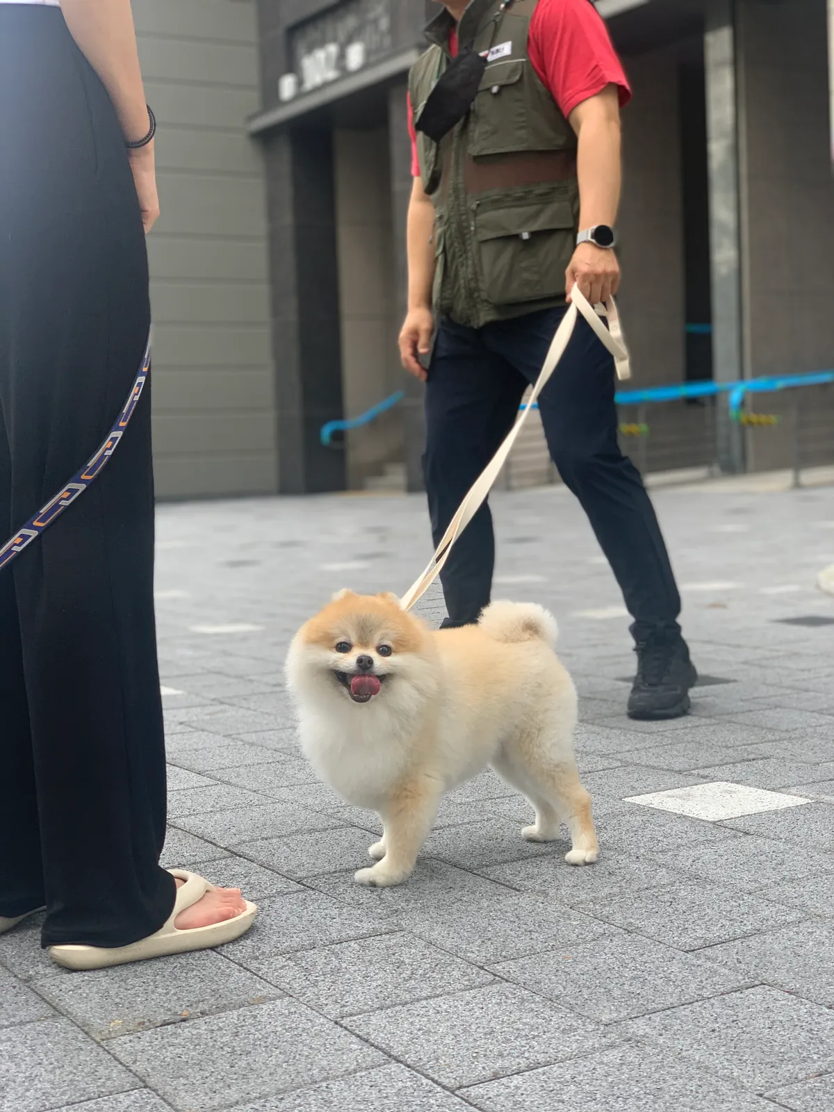 이미지 3