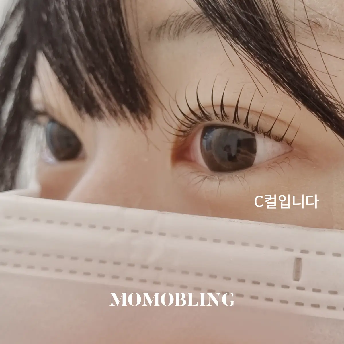 이미지 4