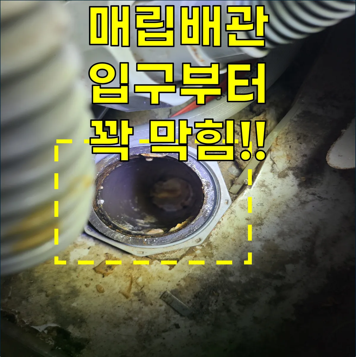 이미지 8