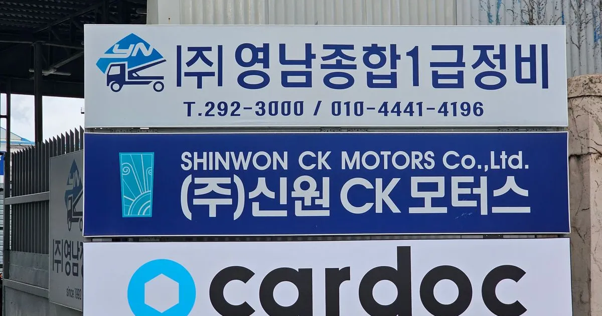 판금 도장 / 영남정비 - 숨고, 숨은고수 판금 도장