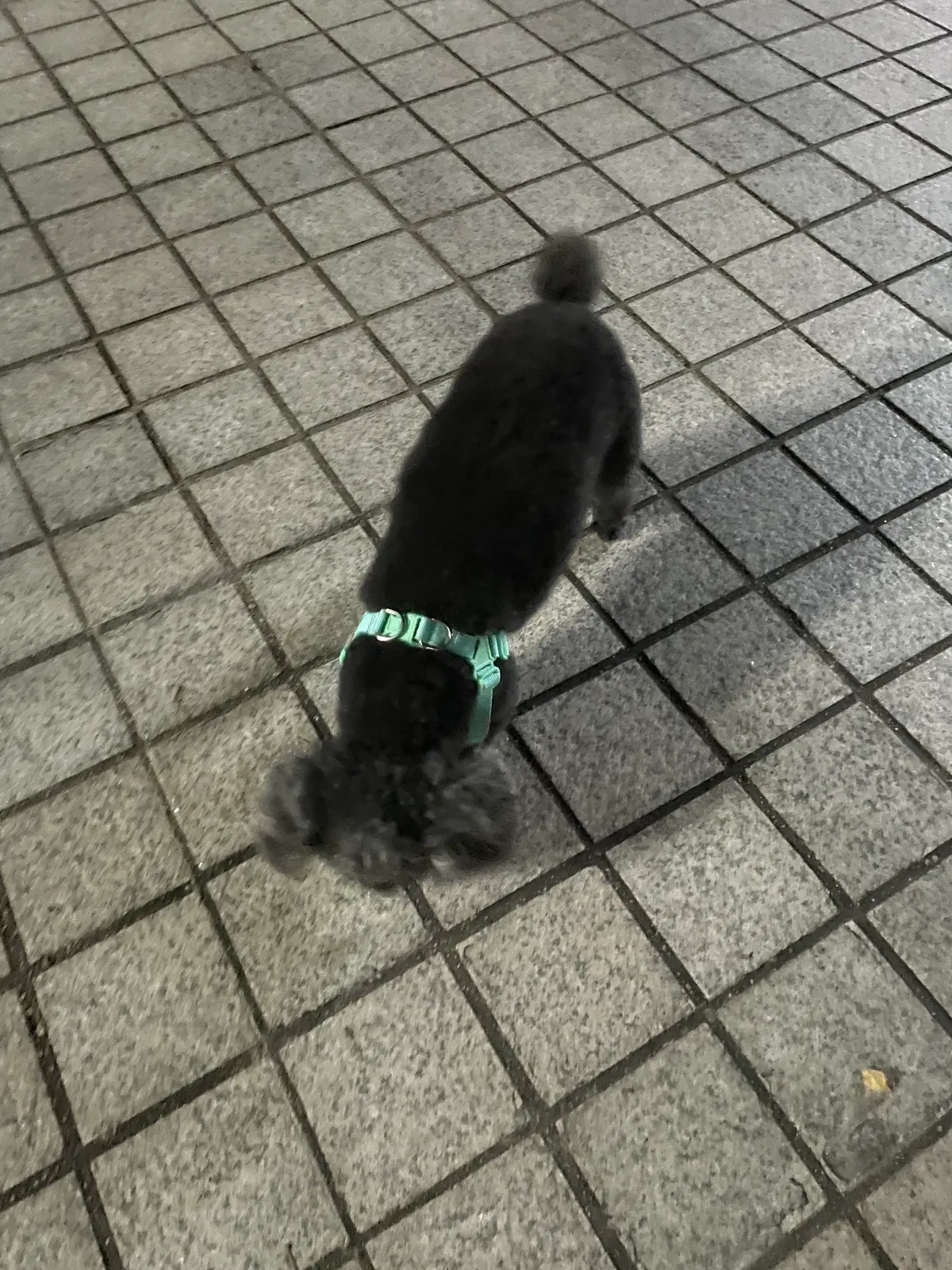이미지 5