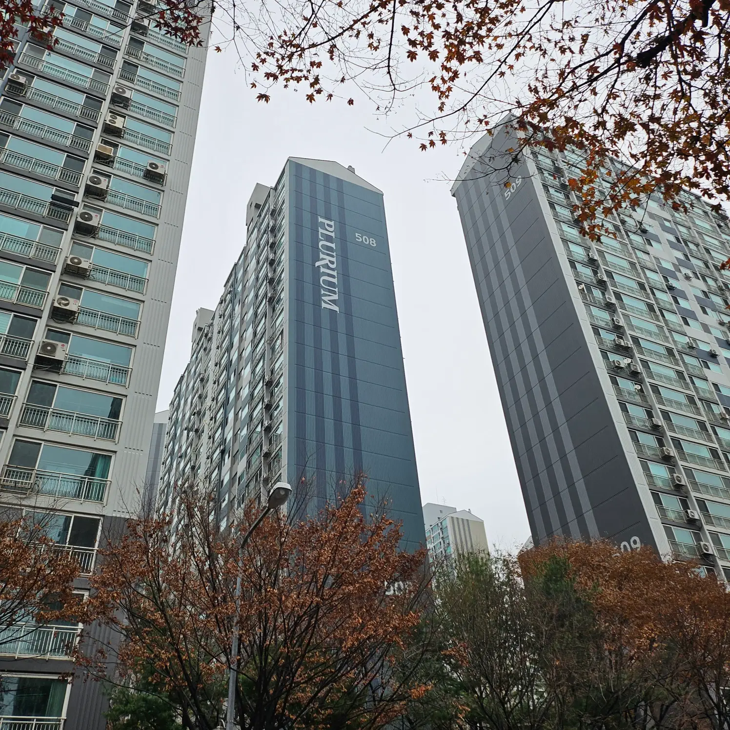 이미지 3