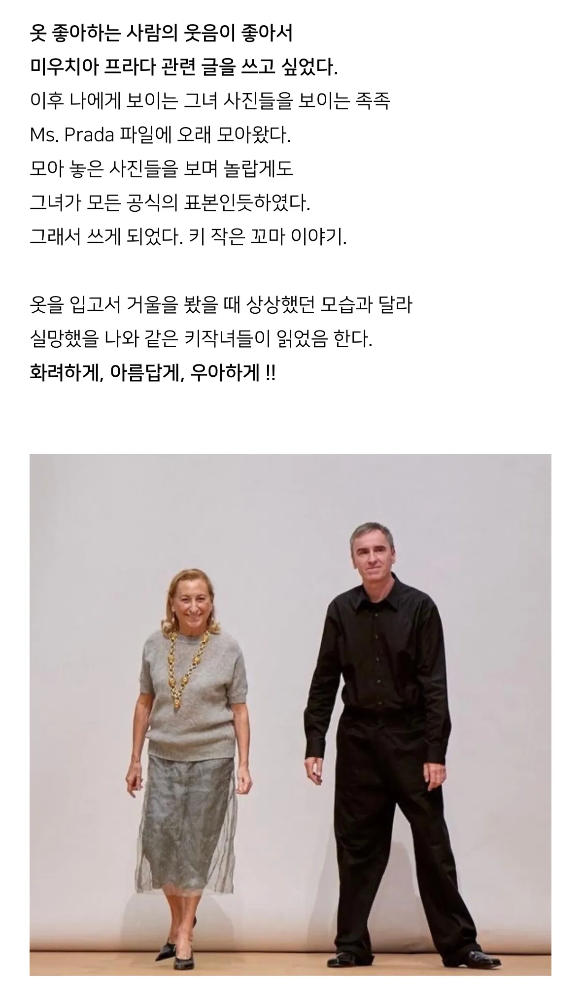 이미지 28