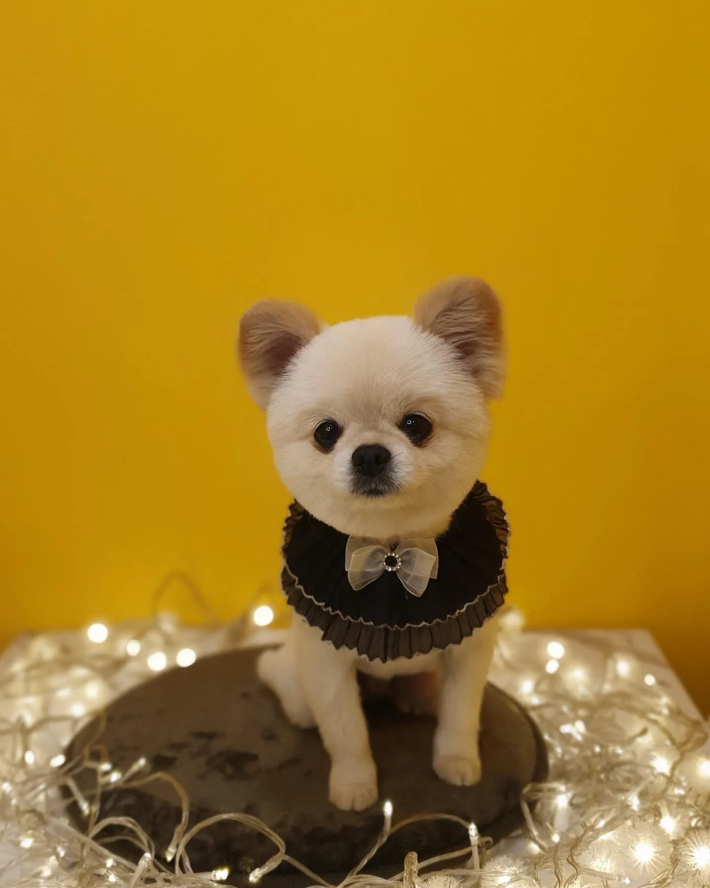 이미지 6