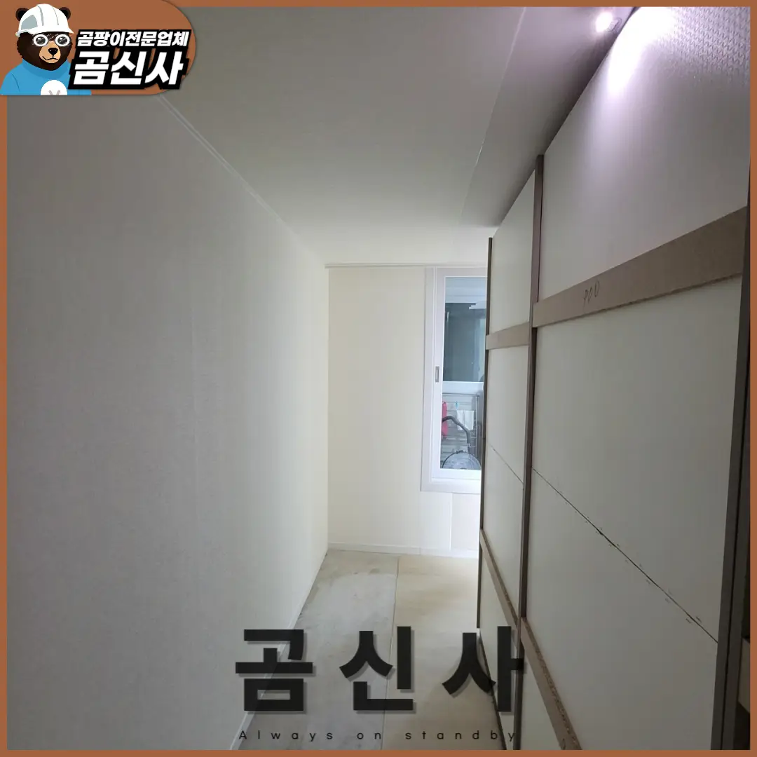 이미지 12