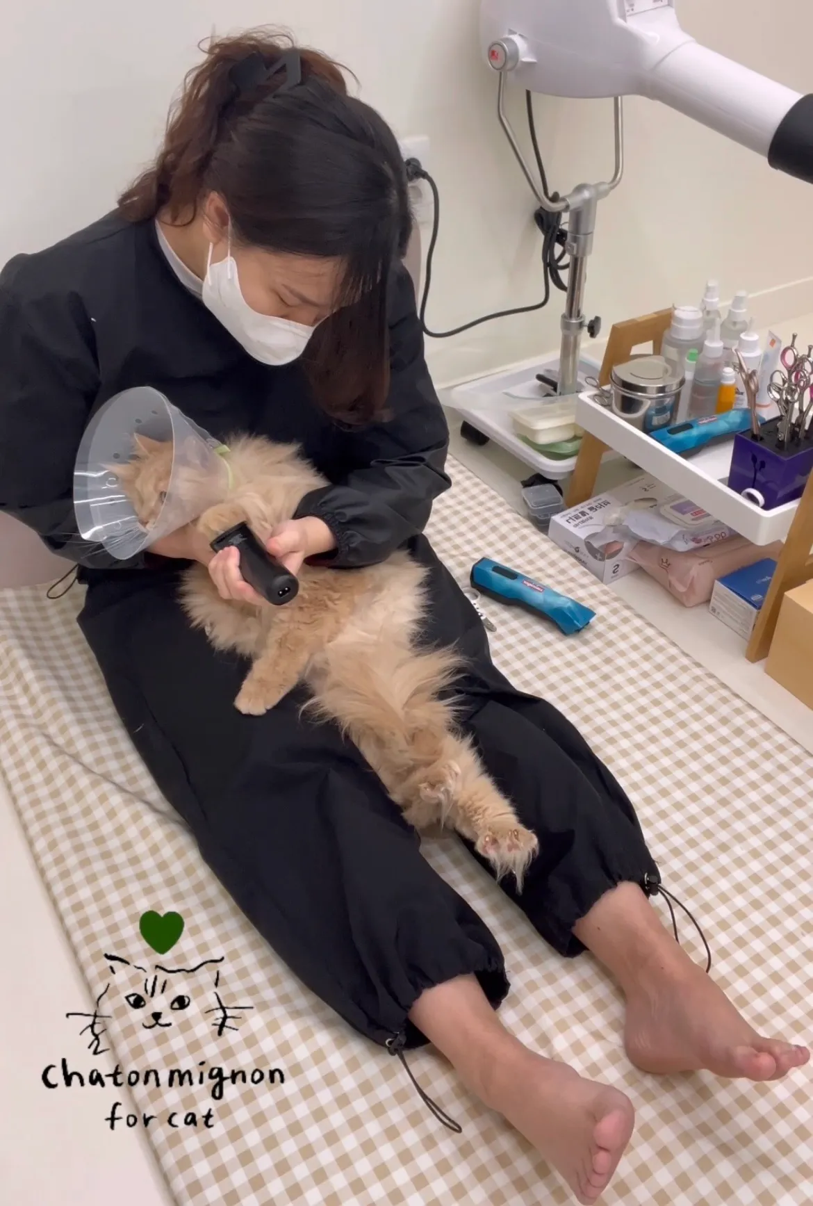 이미지 4