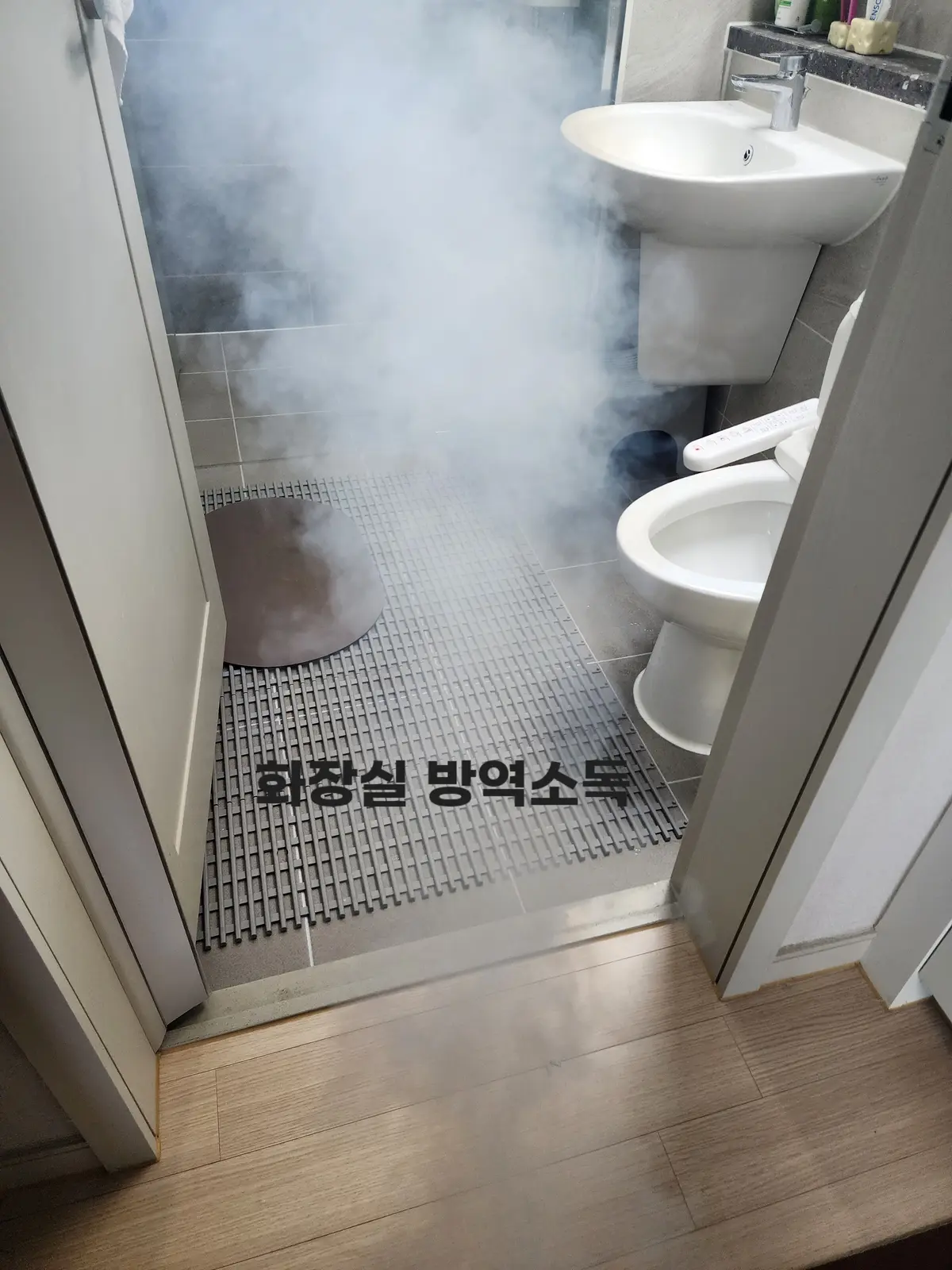 이미지 5