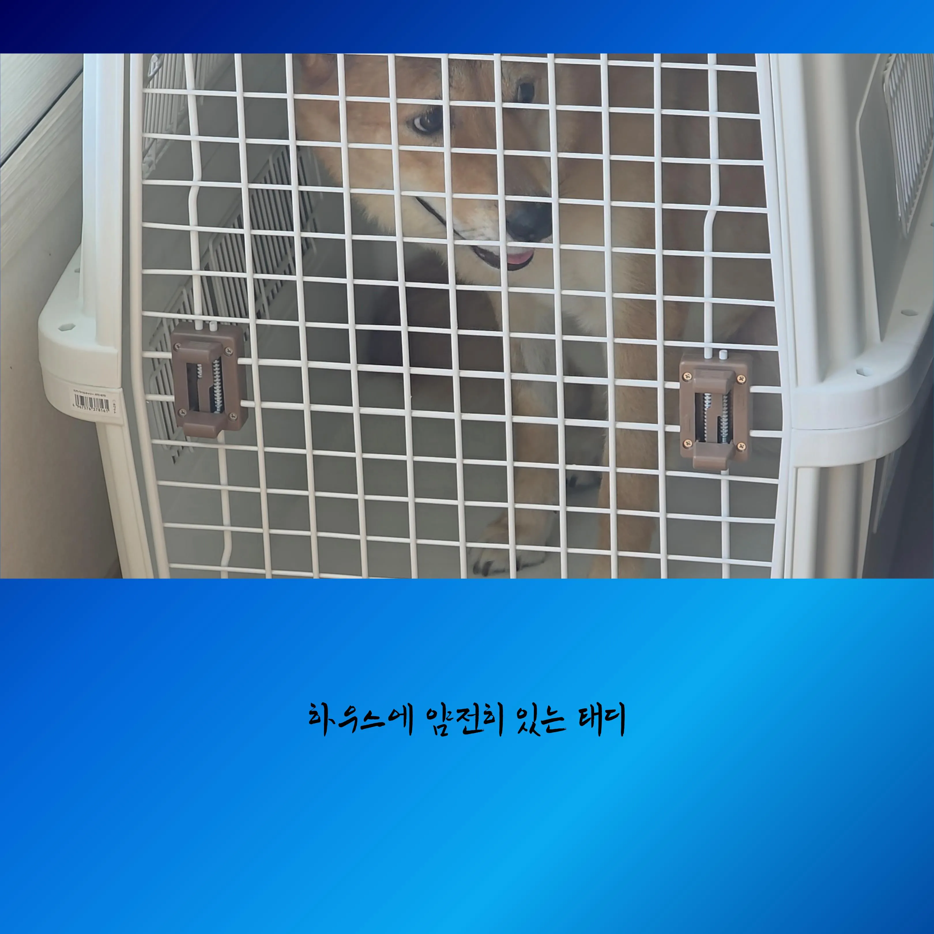 이미지 12