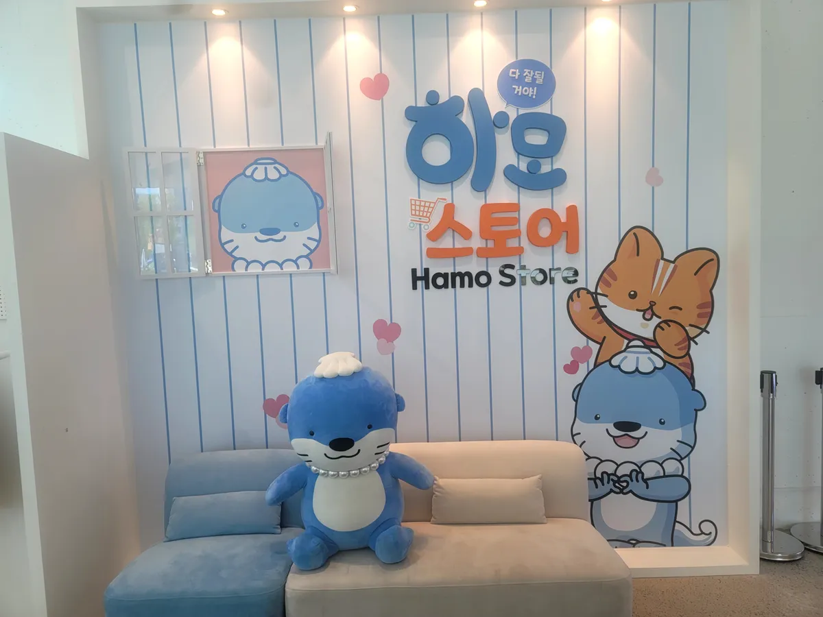이미지 15