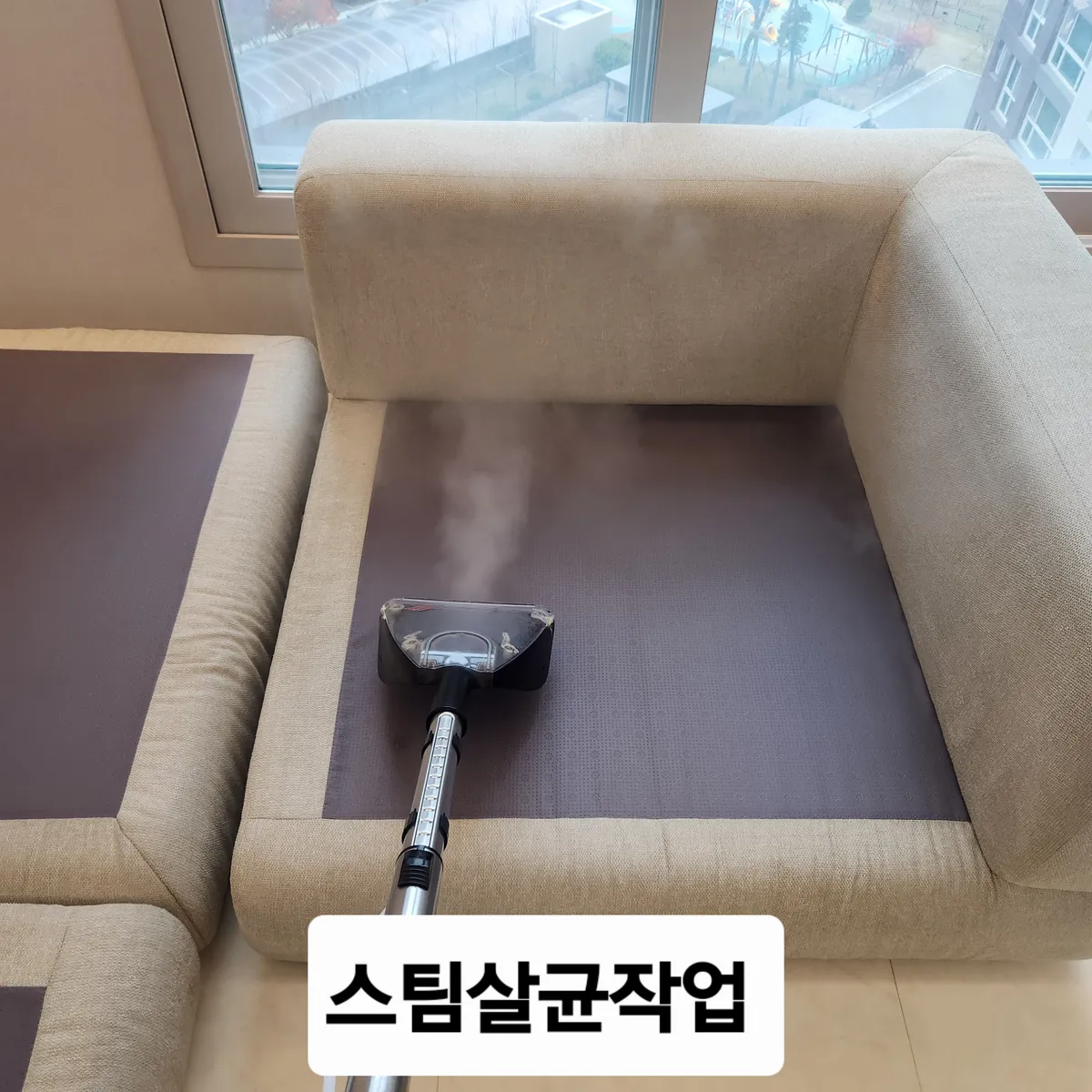 이미지 10