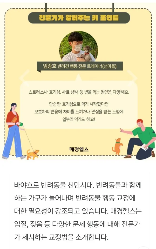 이미지 5