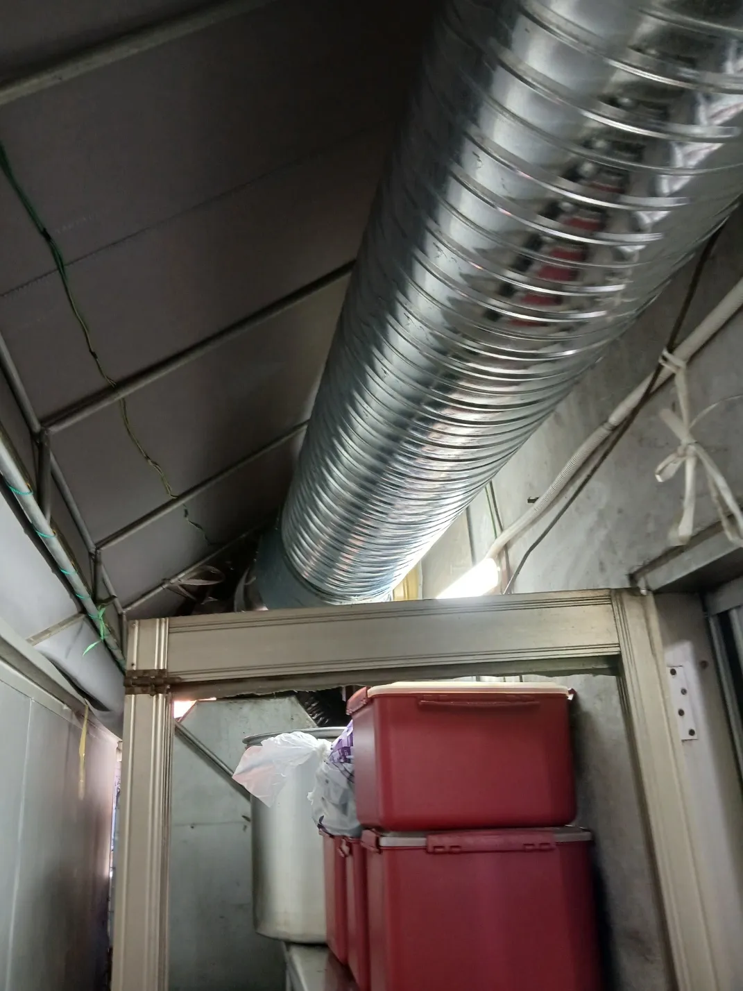이미지 5