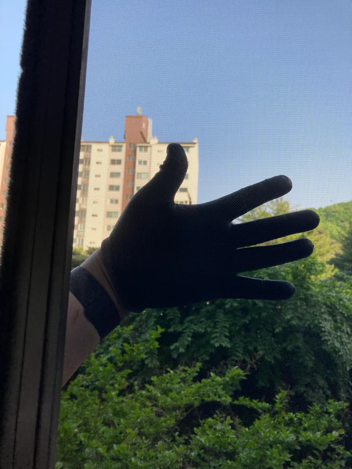 이미지 12