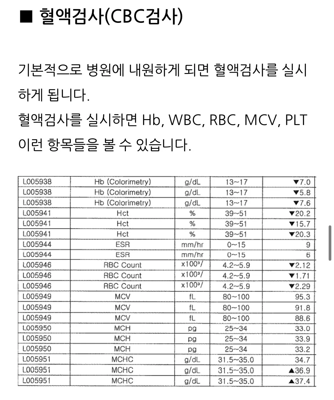 이미지 4