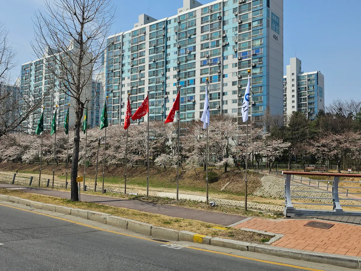 이미지 7