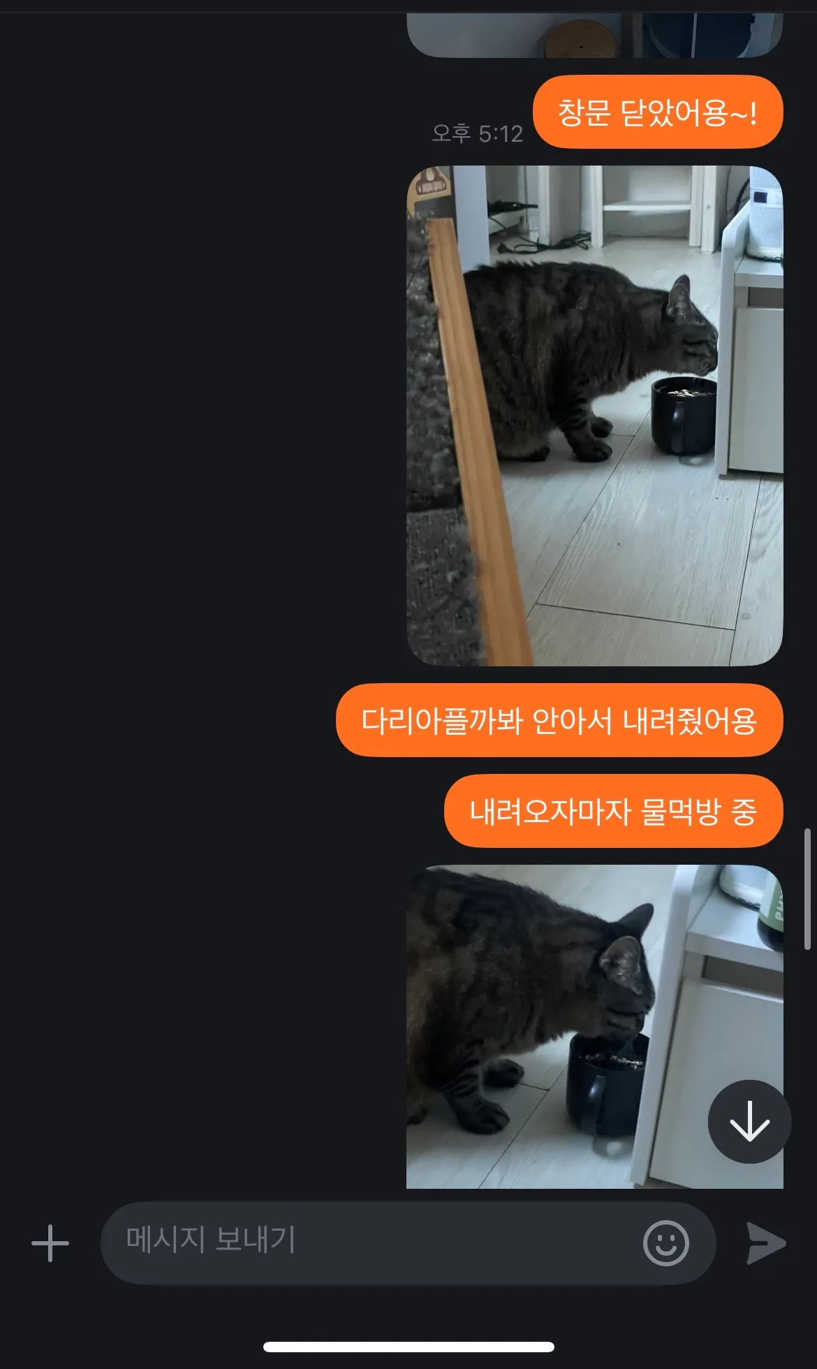 이미지 3