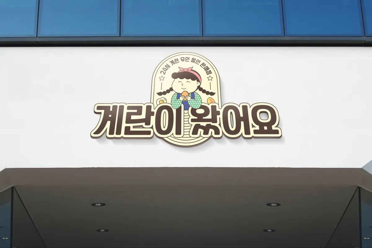 이미지 5