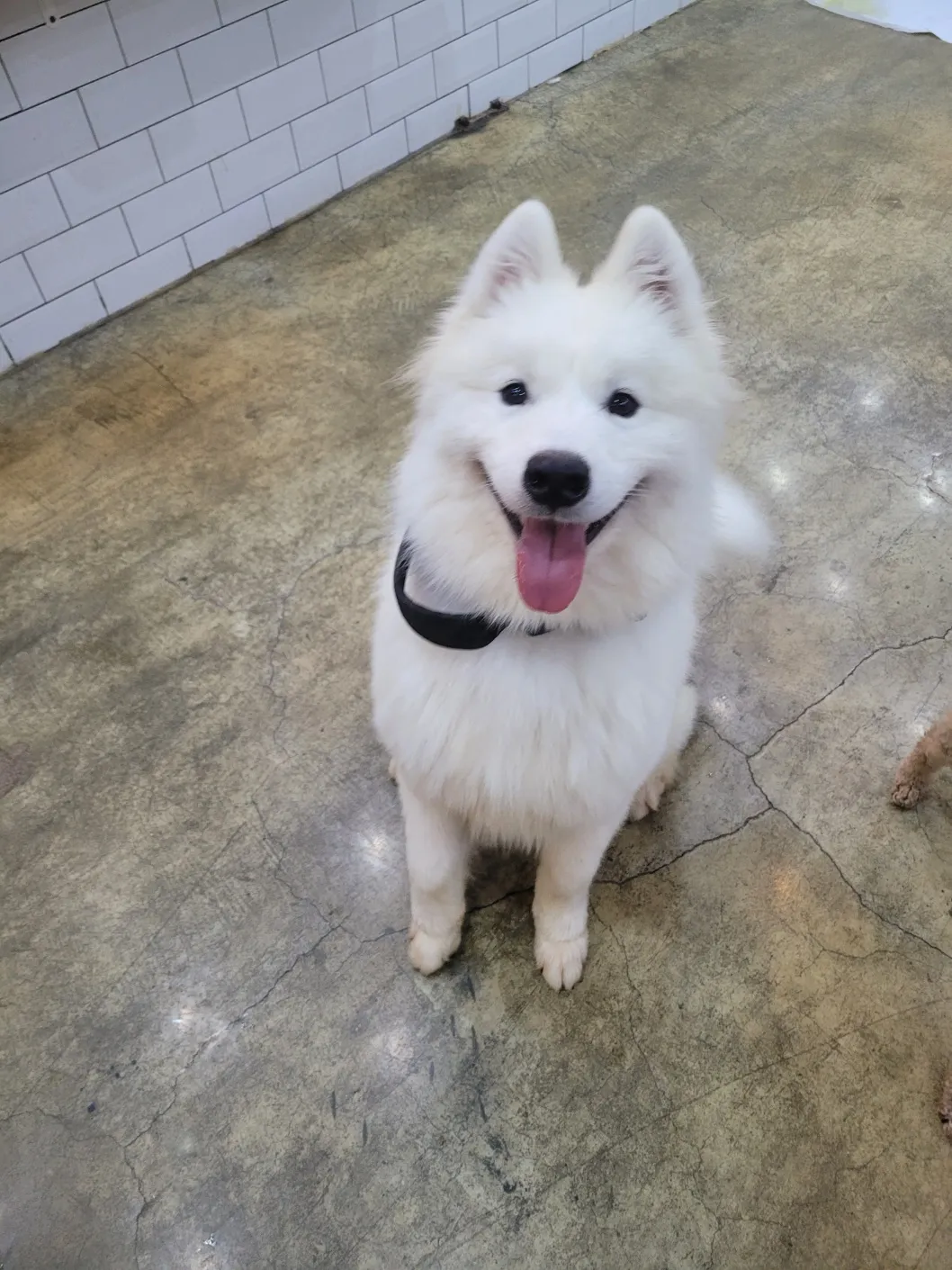 이미지 5