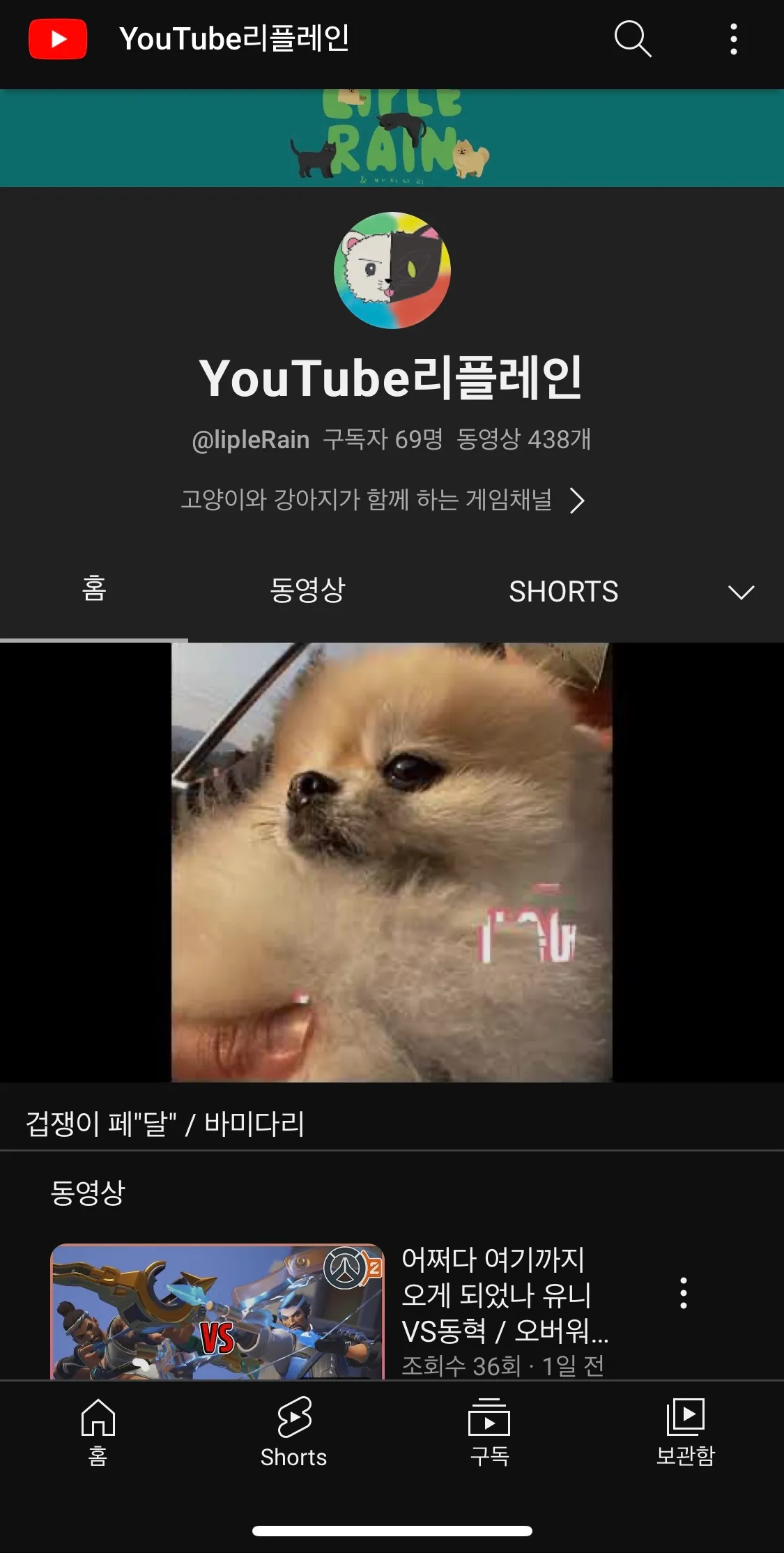 포트폴리오 이미지