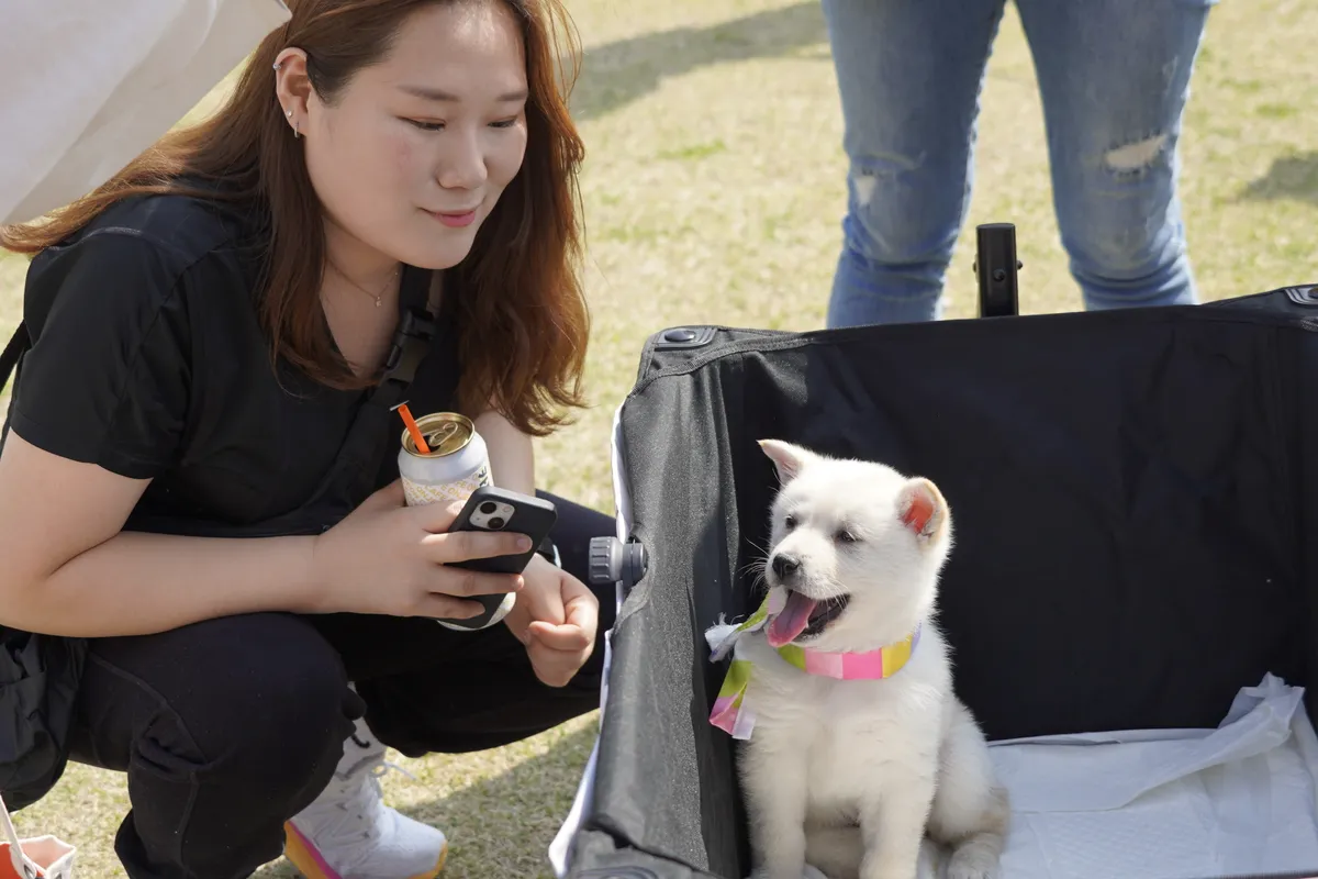 이미지 8